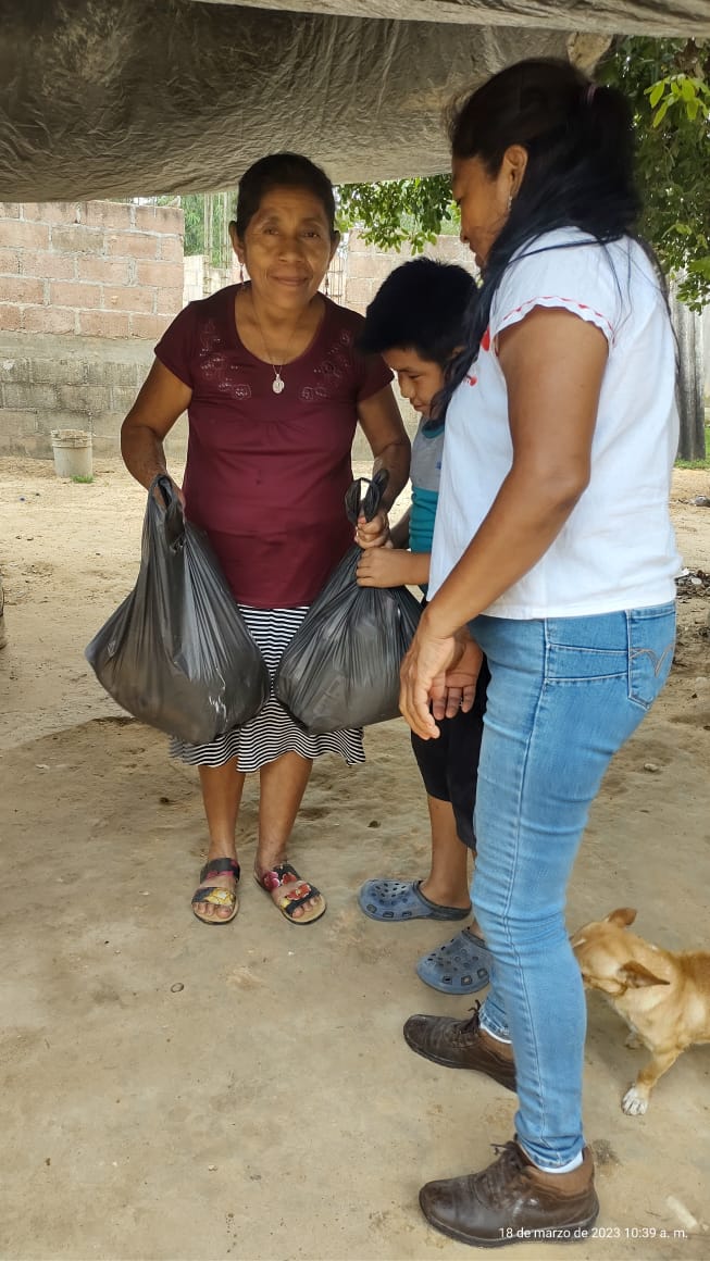 81536084-61f2-497f-9509-edf1f982d739