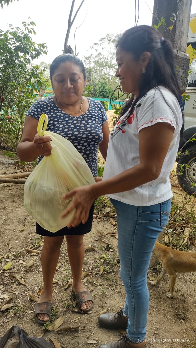 dd35a666-0d33-4aa8-95a8-089f2ba5b48a