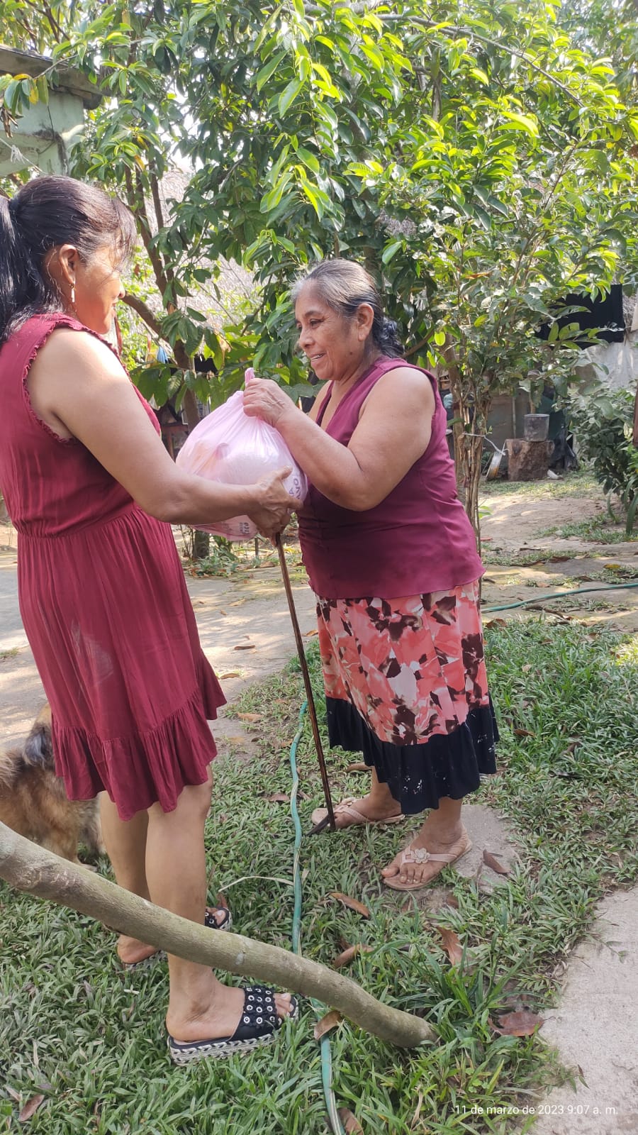 ebaee25f-1f35-4b0b-8a94-b885563168e2